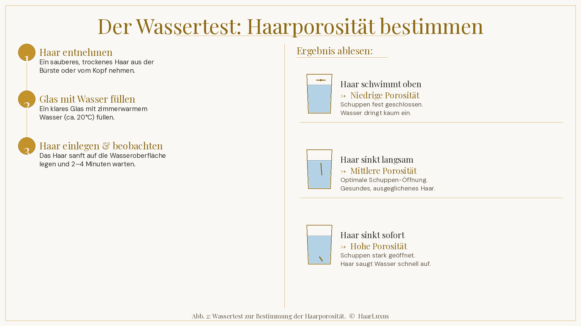 Infografik: Wassertest zur Bestimmung der Haarporosität – Schritt-für-Schritt Anleitung
